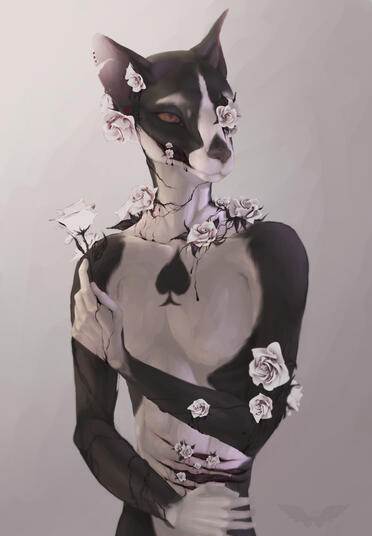 Halfbody | Corvynn Carstensen
