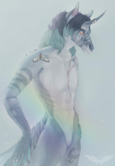Halfbody | Stimkymoth